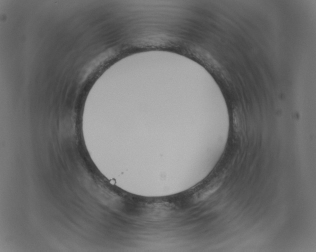 X0000077350396200611031826