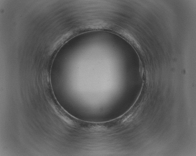 X0000077350397200611031826