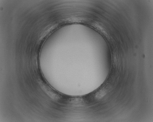 X0000077350398200611031826