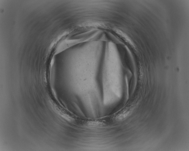 X0000077350399200611031826