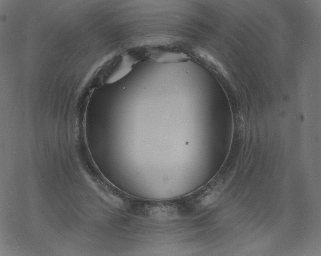 X0000077350400200611031826