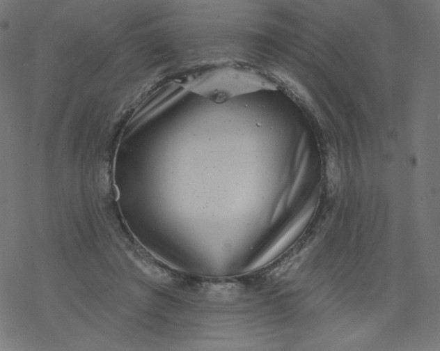 X0000077350401200611031826