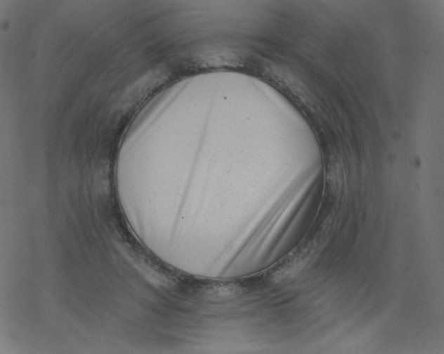 X0000077350402200611031826