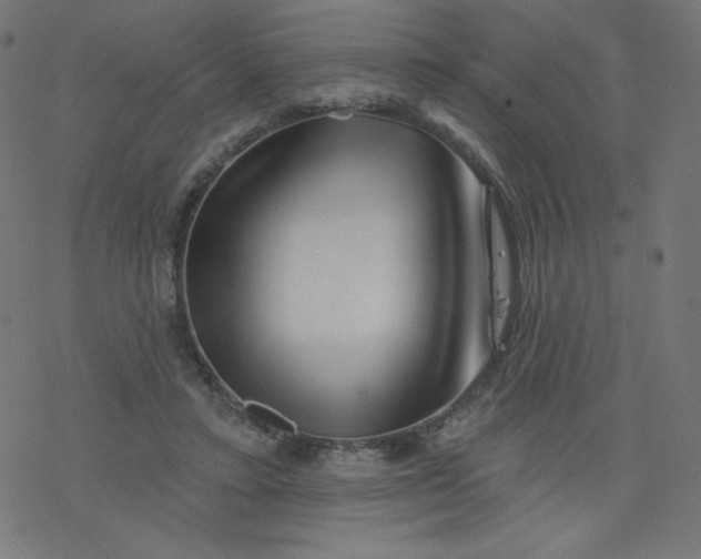 X0000077350403200611031826