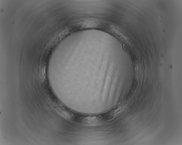 X0000077350406200611031826