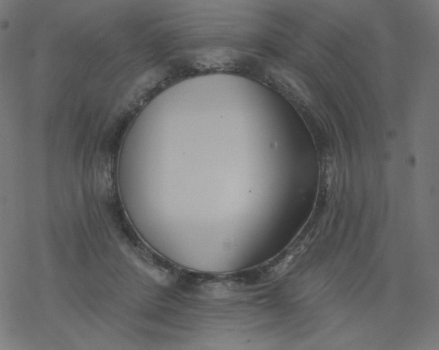 X0000077350408200611031826