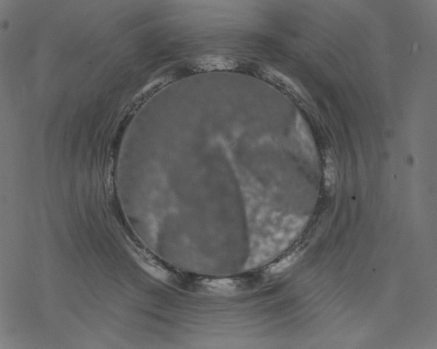 X0000077350409200611031826