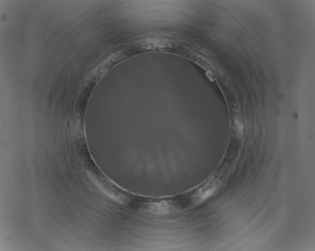 X0000077350411200611031826