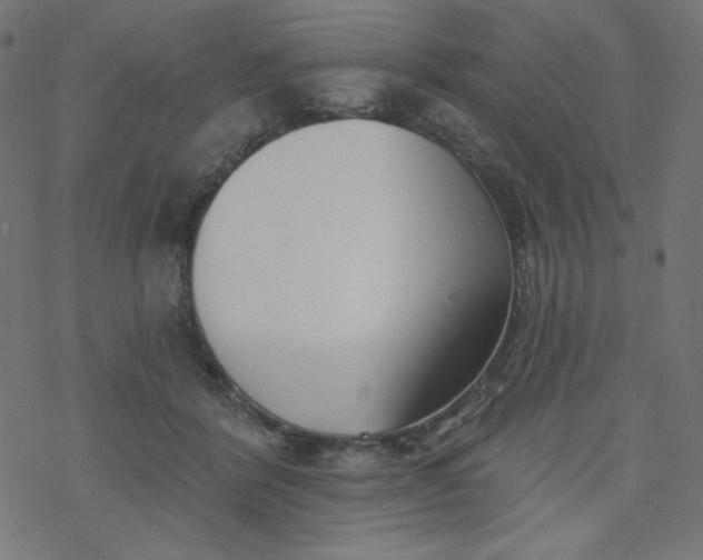 X0000077350412200611031826