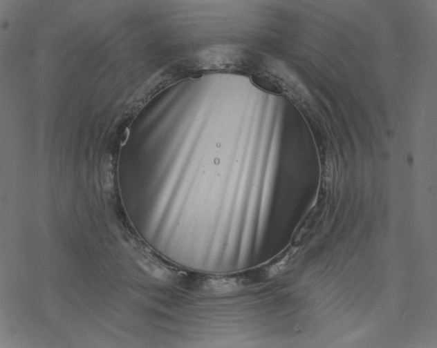 X0000077350413200611031826