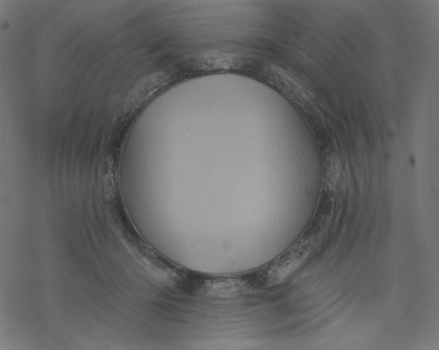 X0000077350414200611031826