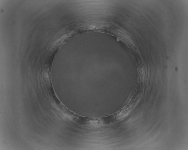 X0000077350415200611031826