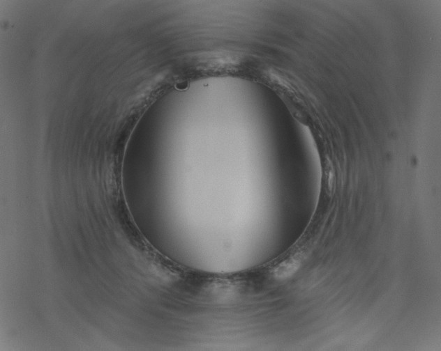 X0000077350416200611031826