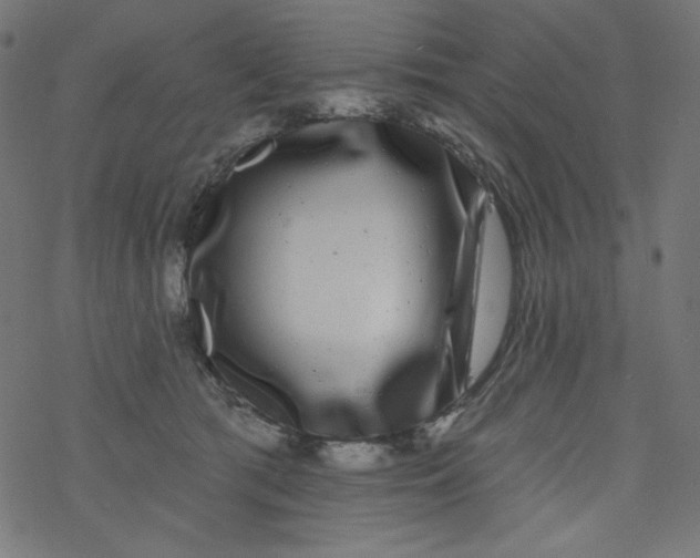 X0000077350417200611031826