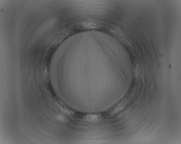 X0000077350418200611031826