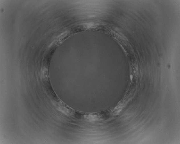 X0000077350419200611031826