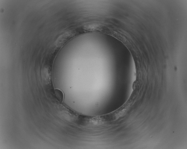 X0000077350420200611031826