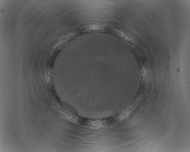 X0000077350423200611031826