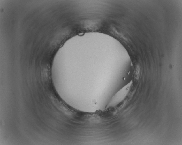 X0000077350424200611031826