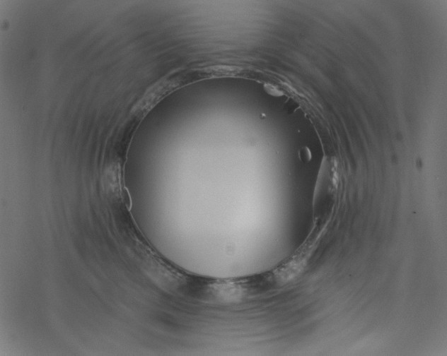 X0000077350425200611031826