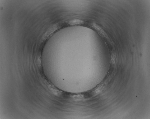 X0000077350426200611031826