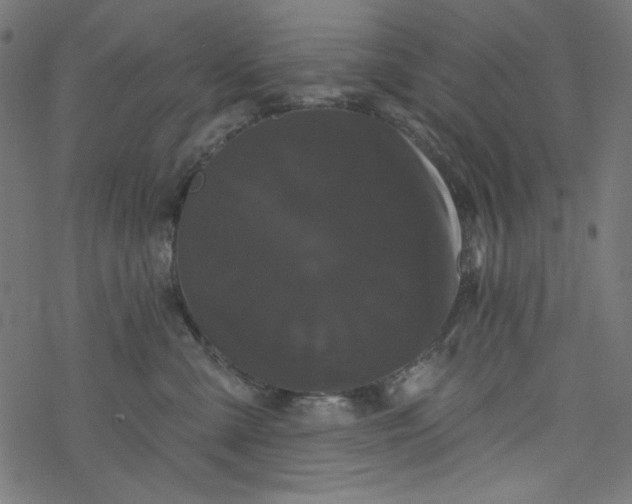 X0000077350427200611031826