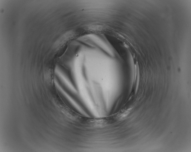 X0000077350428200611031826