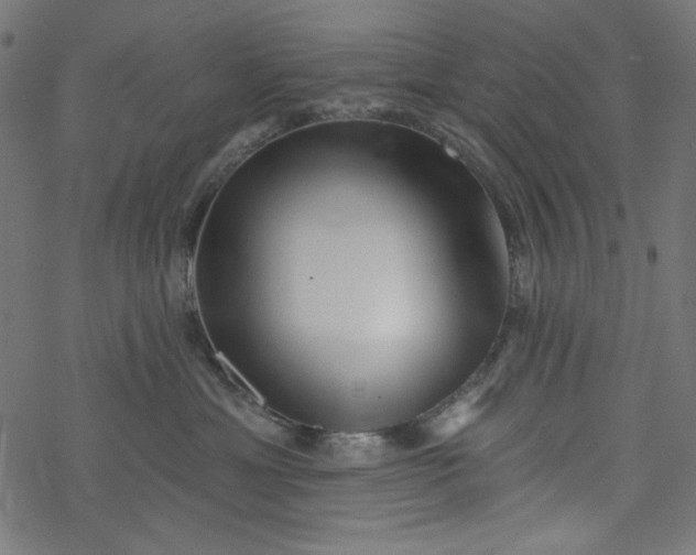 X0000077350429200611031826