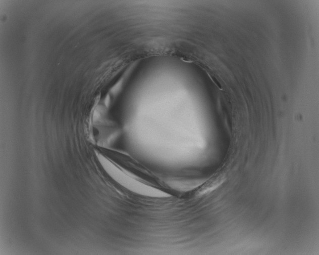 X0000077350432200611031826