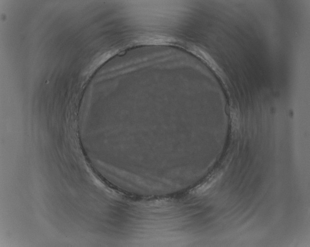 X0000077350433200611031825