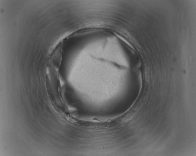 X0000077350434200611031825