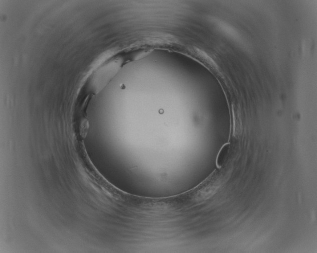 X0000077350435200611031825