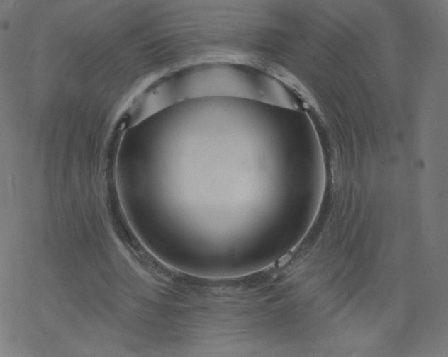 X0000077350436200611031825