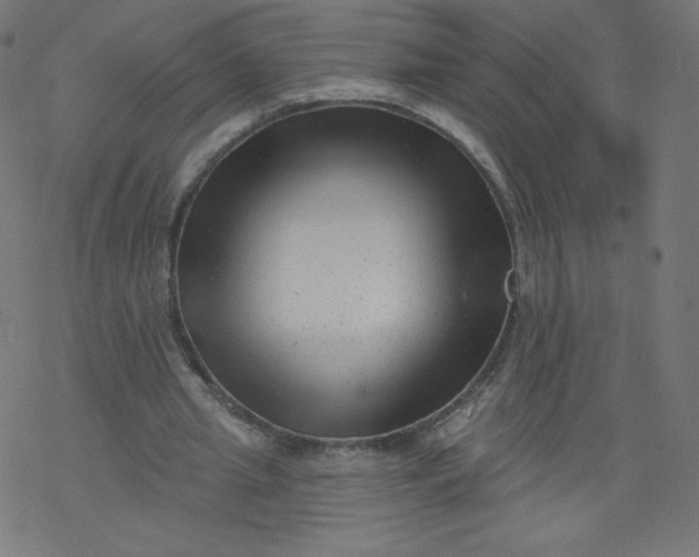 X0000077350437200611031825