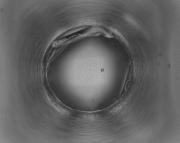 X0000077350439200611031825