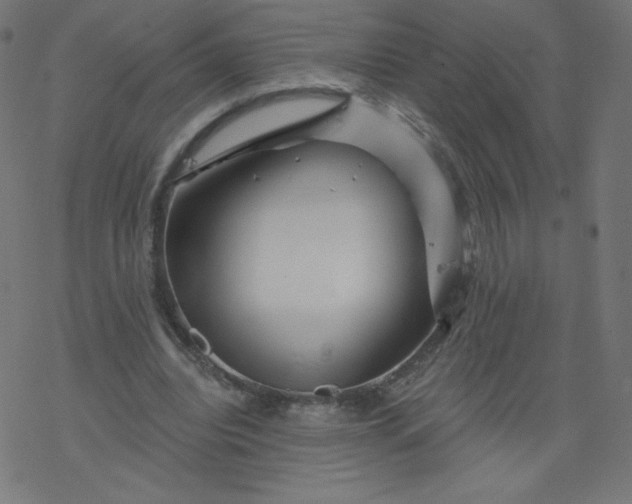 X0000077350440200611031825