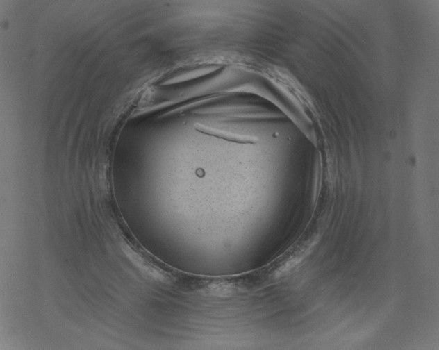 X0000077350441200611031825