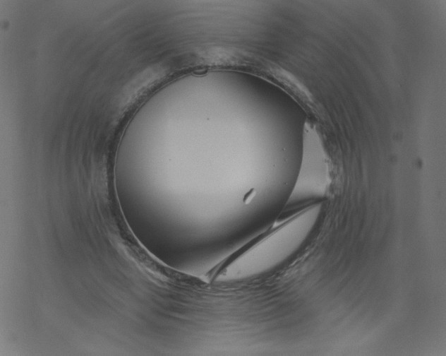 X0000077350442200611031825