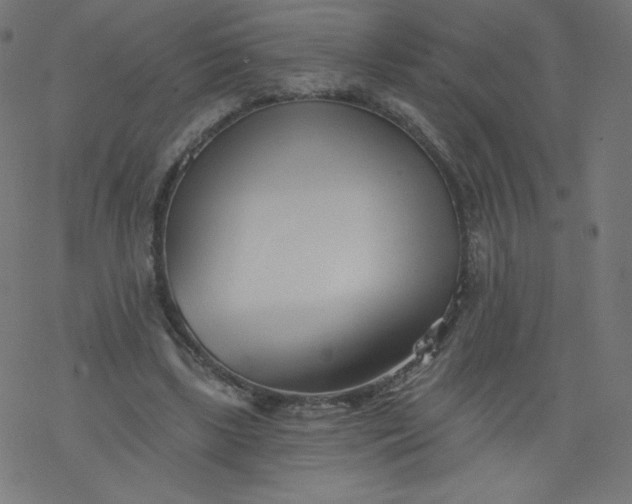 X0000077350443200611031825