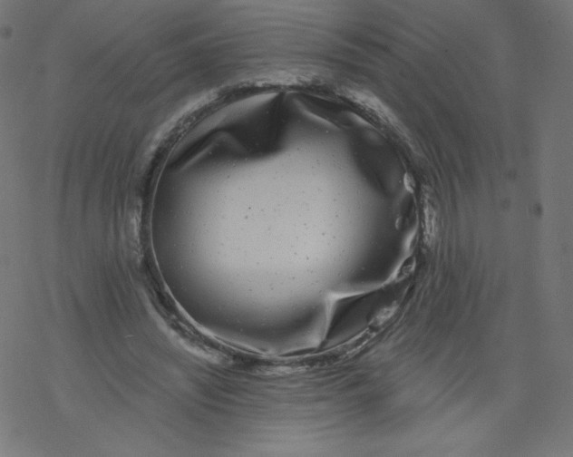 X0000077350444200611031825