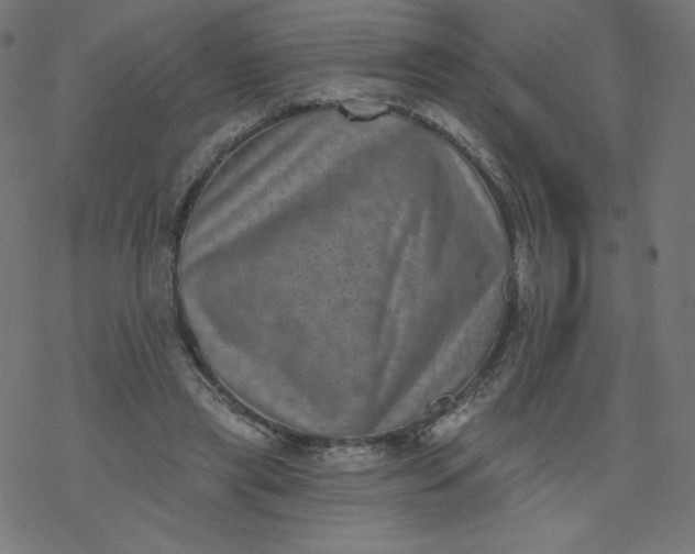 X0000077350445200611031825