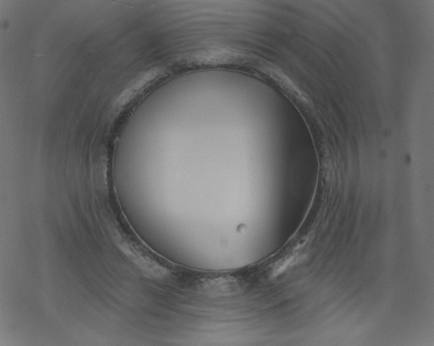 X0000077350446200611031825