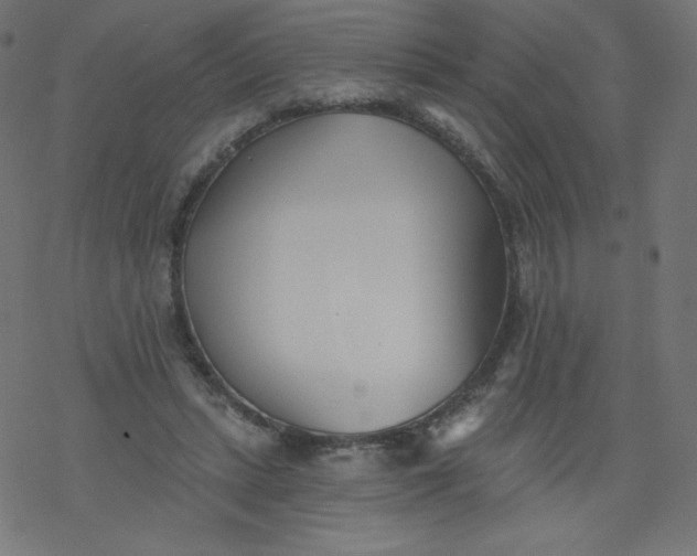 X0000077350447200611031825