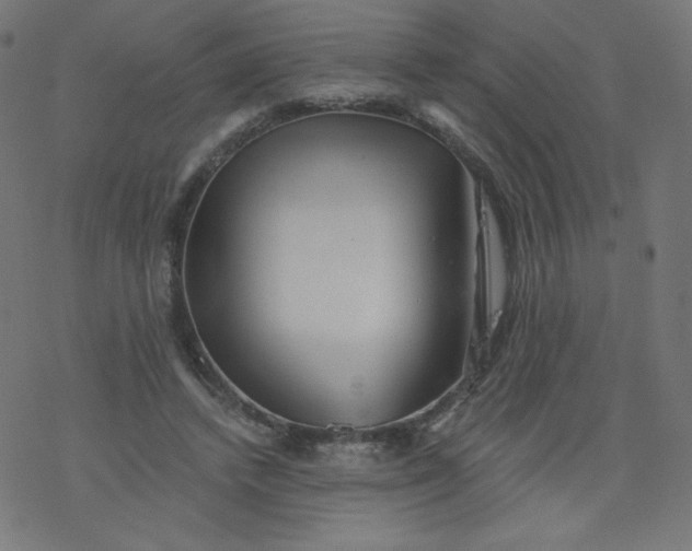 X0000077350448200611031825