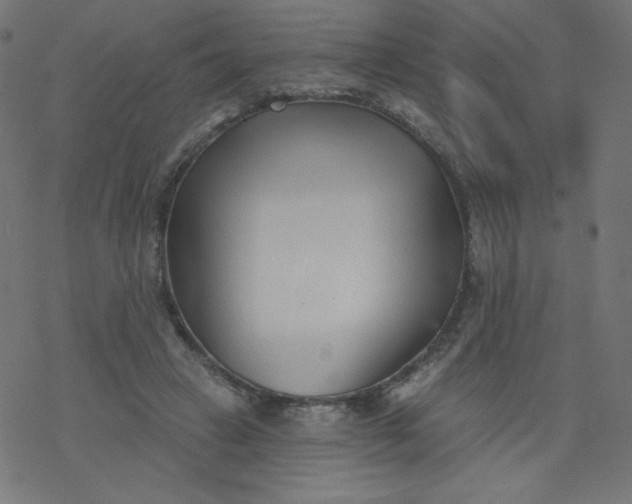 X0000077350449200611031825