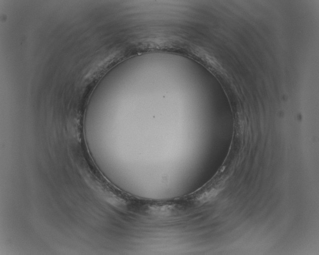 X0000077350450200611031825