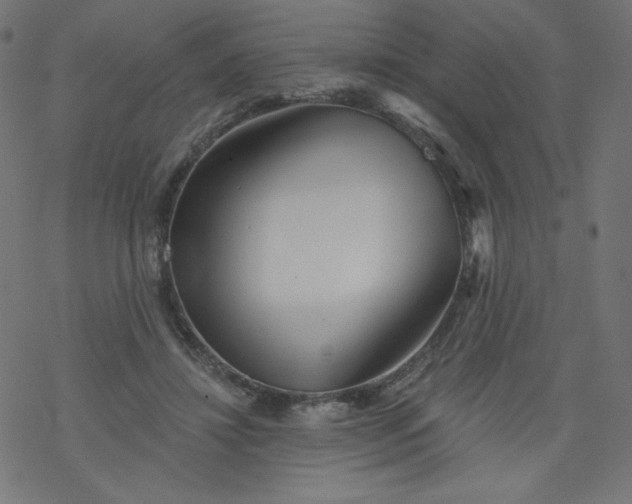 X0000077350452200611031825