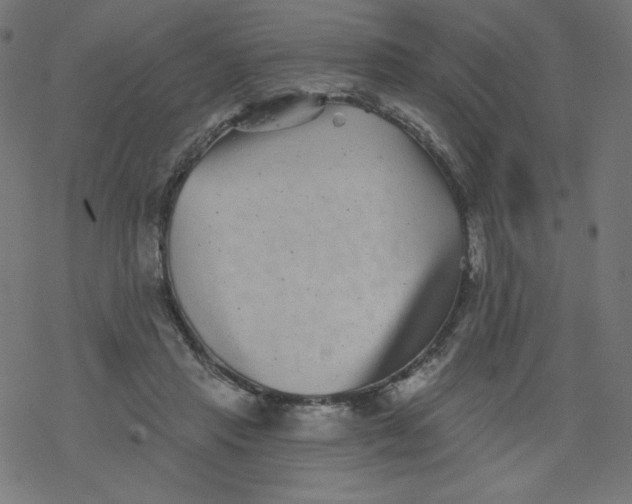 X0000077350453200611031825