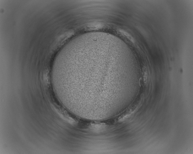 X0000077350455200611031825