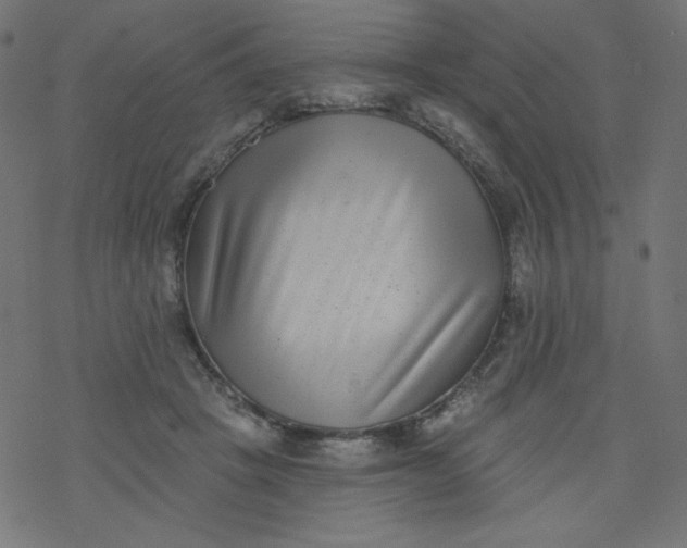 X0000077350457200611031825